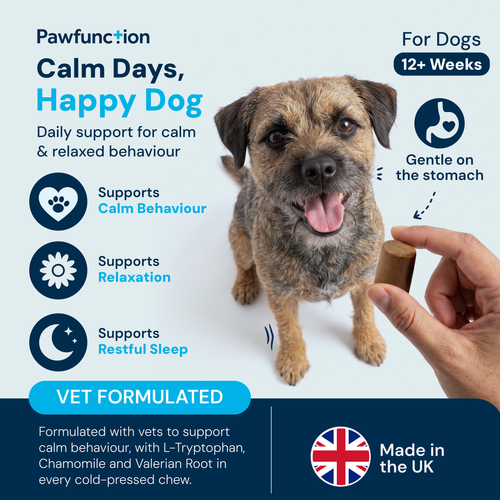 Calming Chews