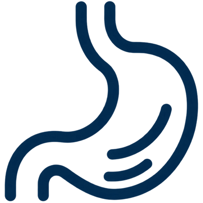 A dark blue outline icon of a stomach or digestive organ on a plain white background.
