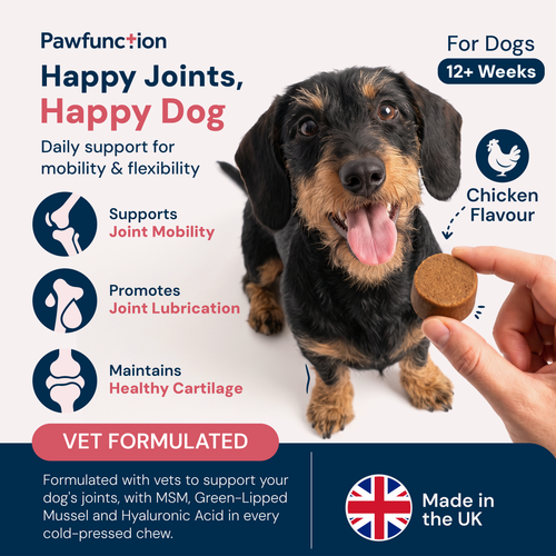 Hip & Joint Chews