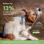 Skin & Coat Chews