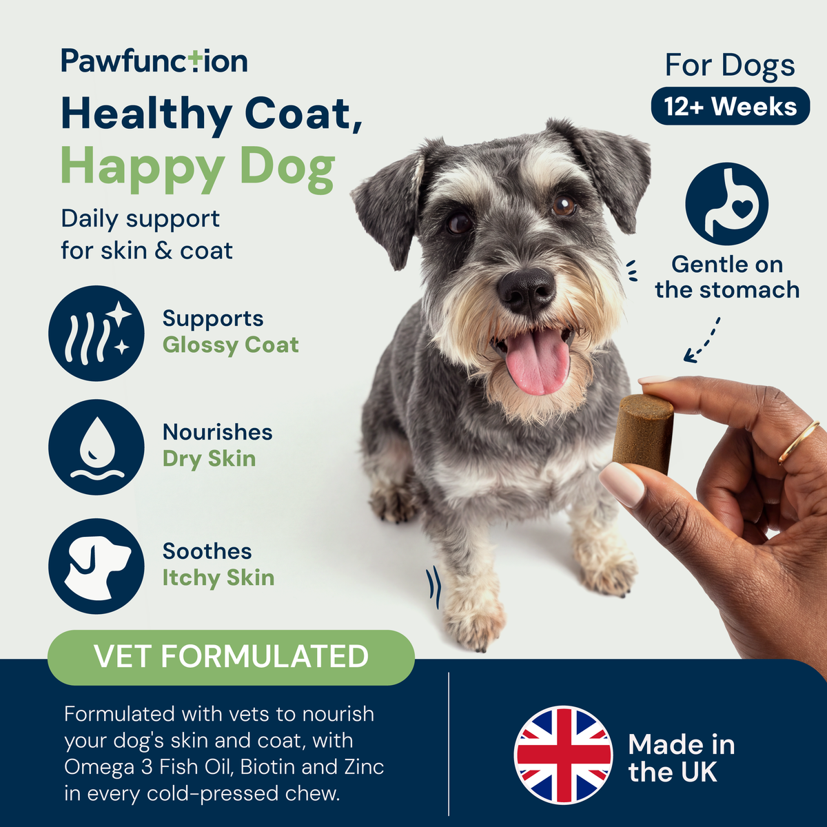 Skin & Coat Chews