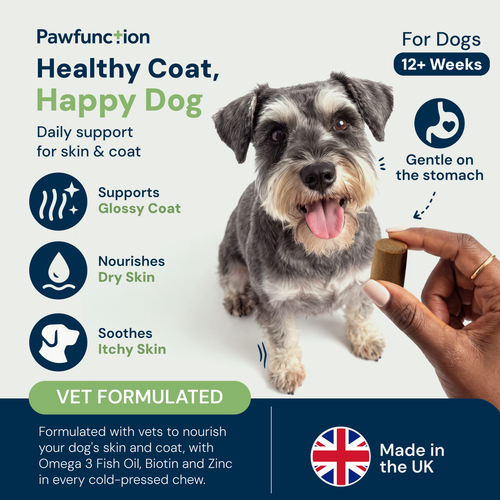 Skin & Coat Chews